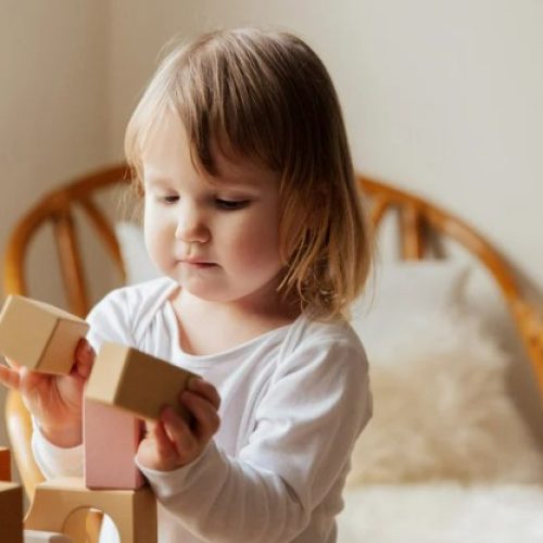 Jeu libre chez le jeune enfant